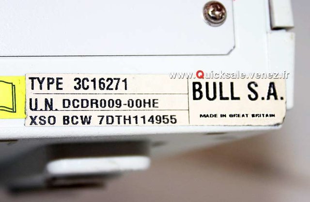 bull-s15.jpg