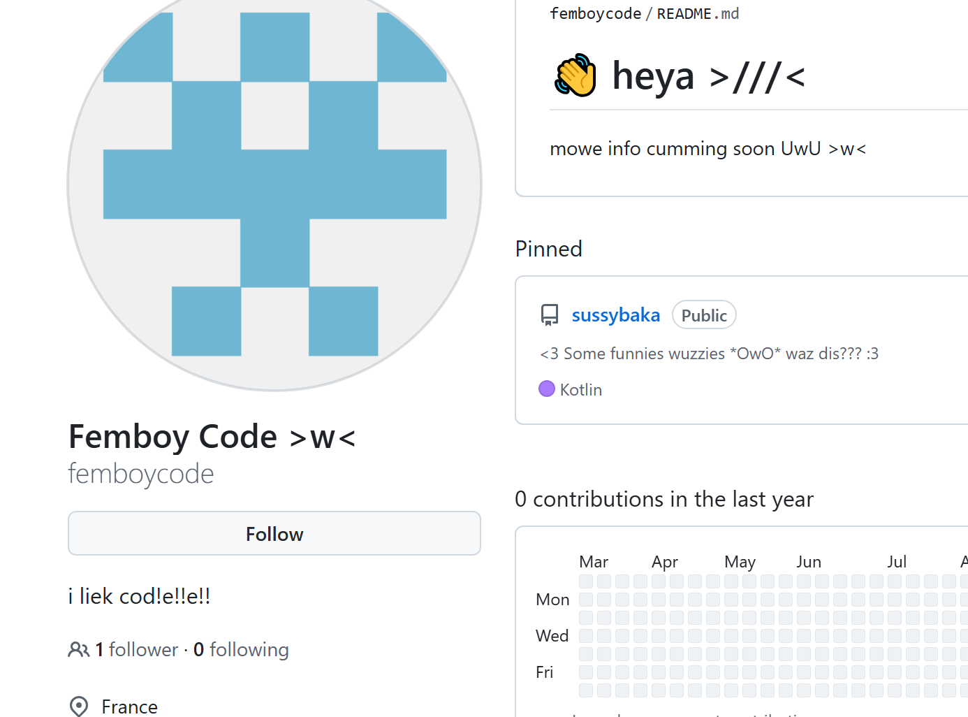Compte GitHub secondaire « Femboy Code », multicompte de UwUDev